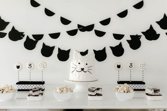 black and white kitty birthday