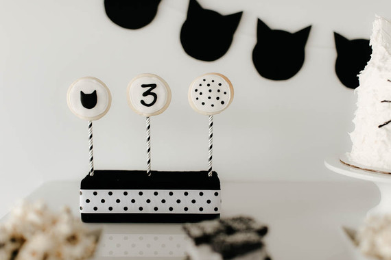 black and white kitty birthday