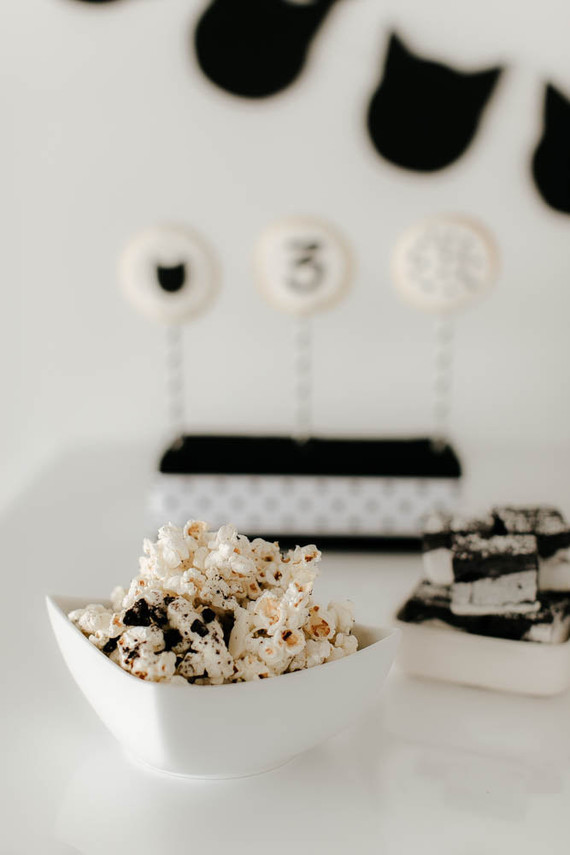 black and white kitty birthday