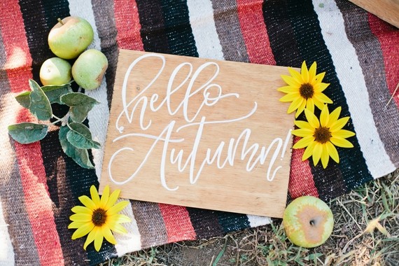 kids apple picking party