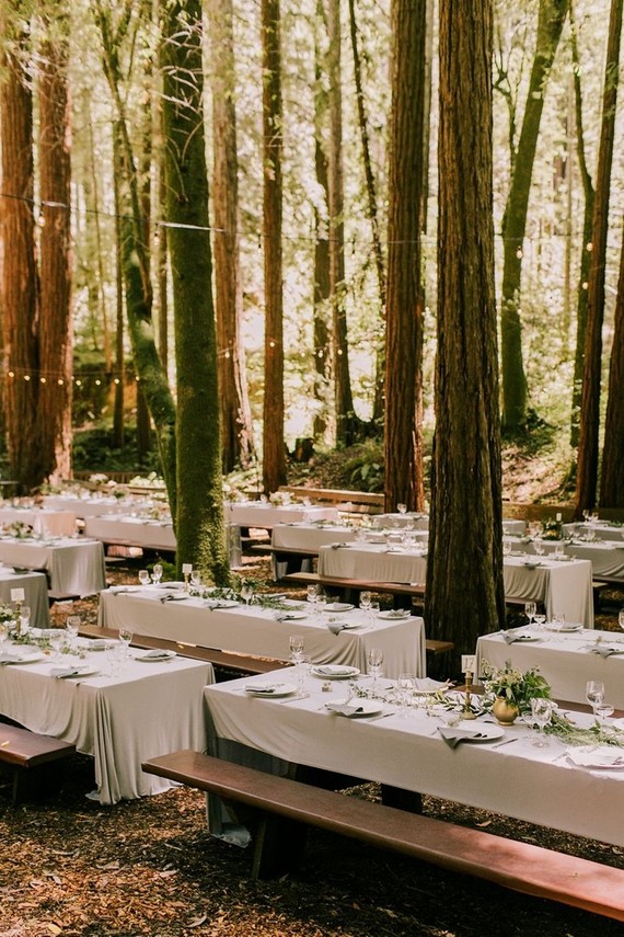 Forest wedding