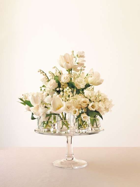 Celebrate Everything by Darcy Miller