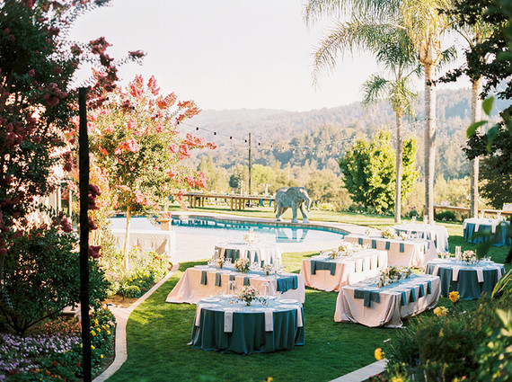 Romantic wedding at Camel Hill Vineyards