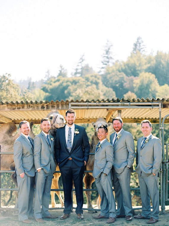 Romantic wedding at Camel Hill Vineyards