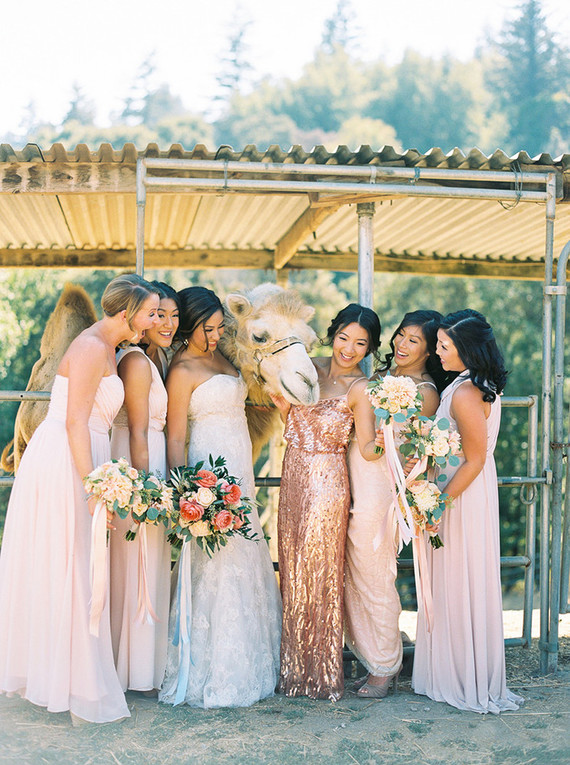 Romantic wedding at Camel Hill Vineyards