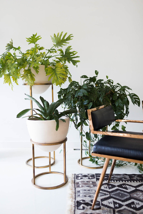 house plants and gold stands Inspiration
