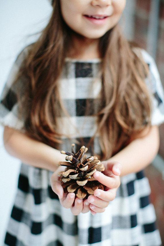 modern styled holiday photos