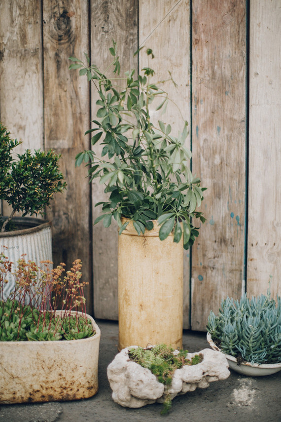 Big Daddy's Antiques wedding