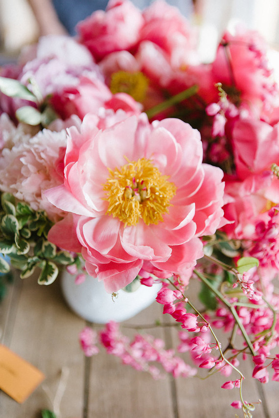 Pink Peony's