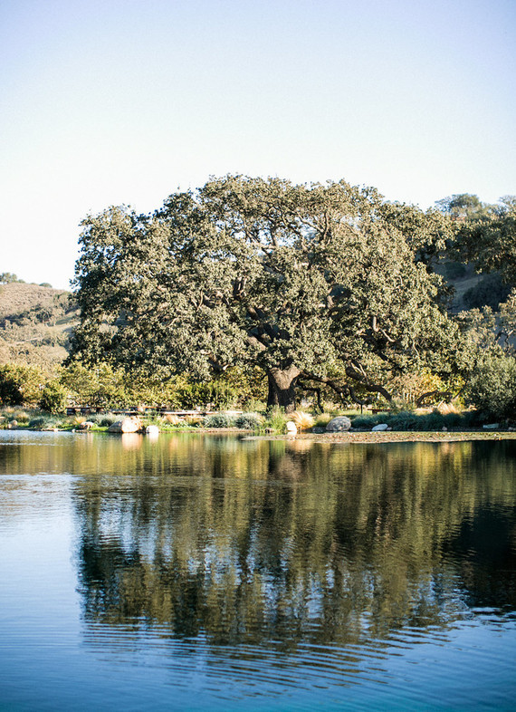 A day at a vineyard with Orbit stroller