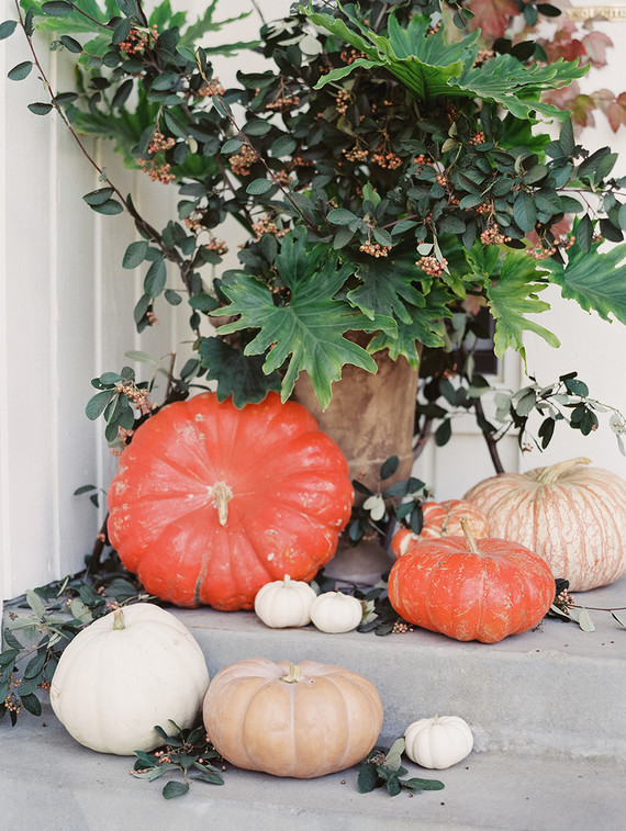 Modern halloween ideas