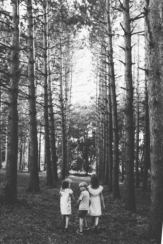 Forest family photos