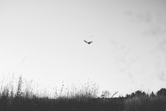 summery family photos in Milwaukee