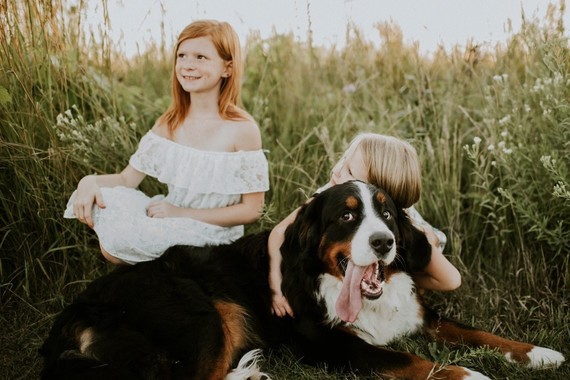 summery family photos in Milwaukee