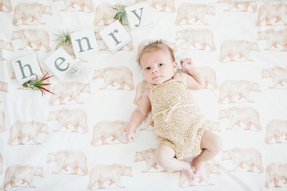 wild and free boy nursery