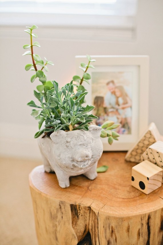 wild and free boy nursery