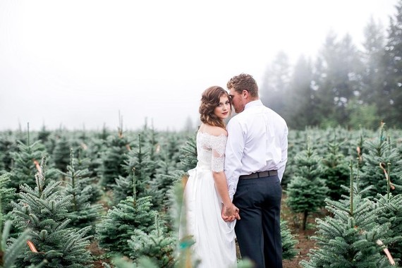 Christmas tree farm