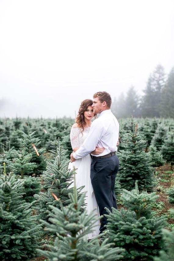 Christmas tree farm