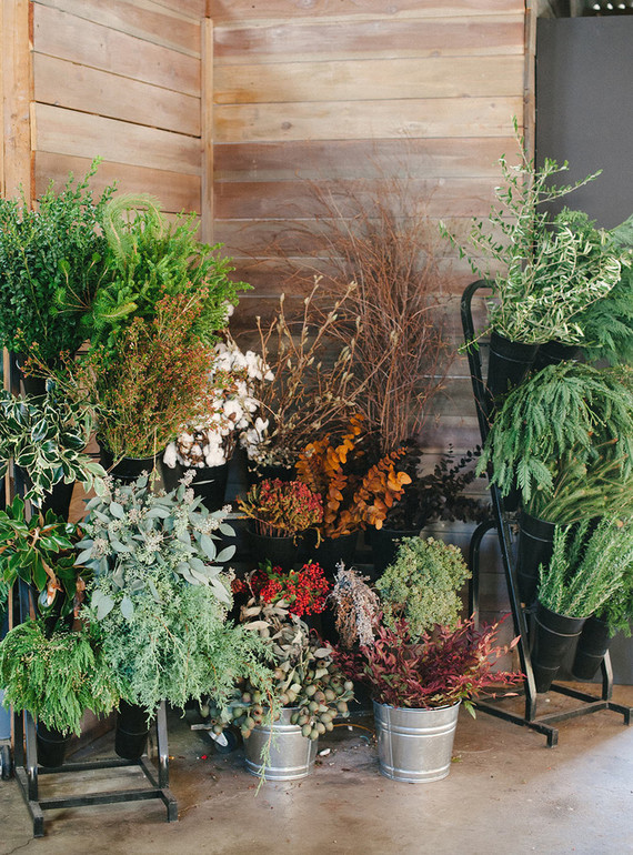 festive greenery