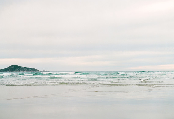 Floral coastal maternity photos