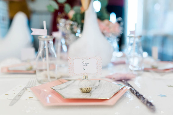 Swan Lake birthday party Inspiration