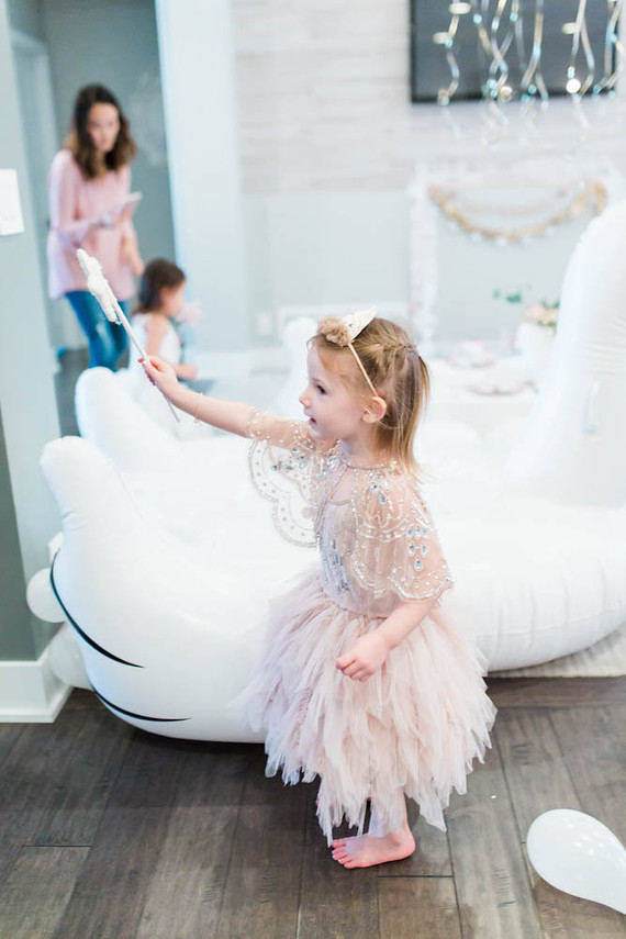 Swan Lake birthday party Inspiration