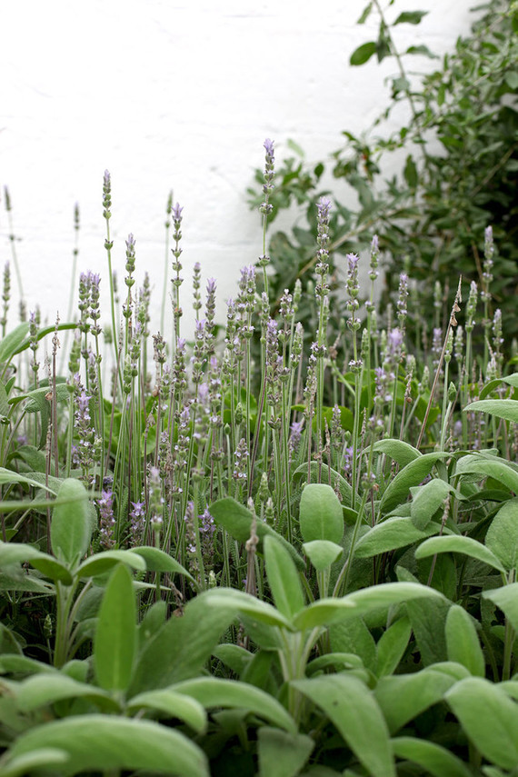 Masseria Moroseta in Puglia, Italy