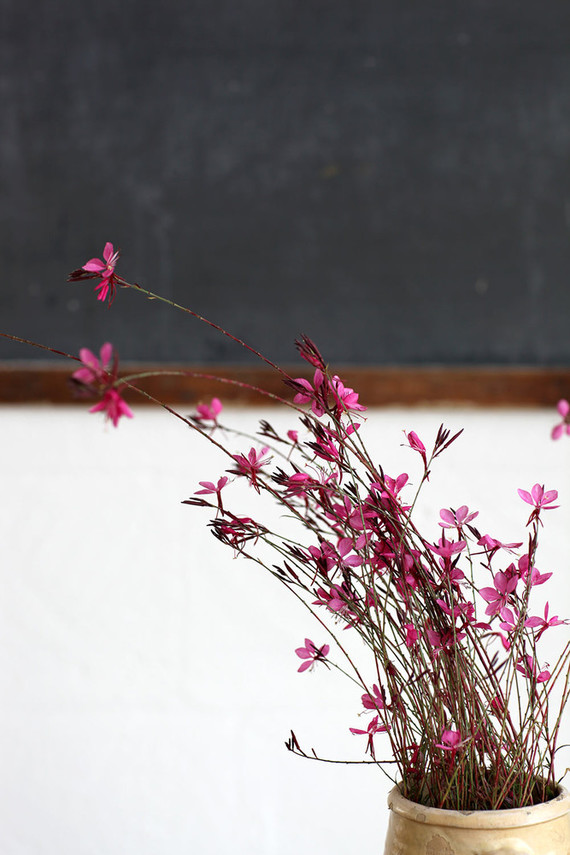 Masseria Moroseta in Puglia, Italy