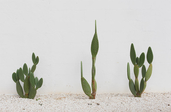 Masseria Moroseta in Puglia, Italy