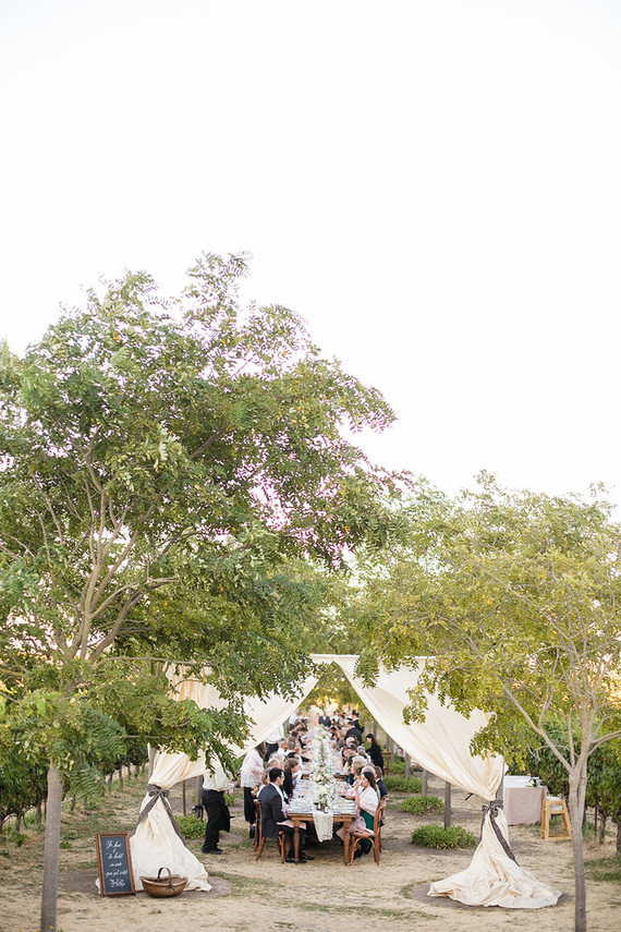 Vineyard wedding ideas