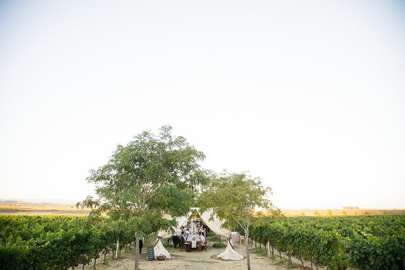Vineyard wedding ideas