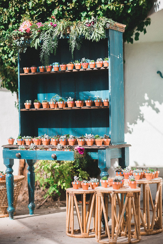 Succulent favors