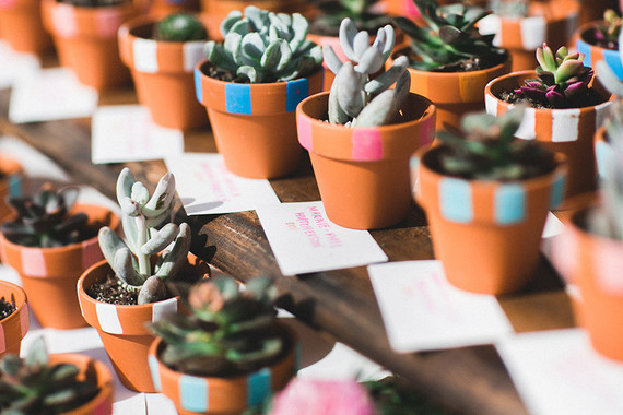 Succulent wedding favors