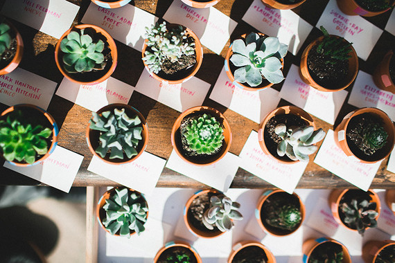 Succulent wedding favors