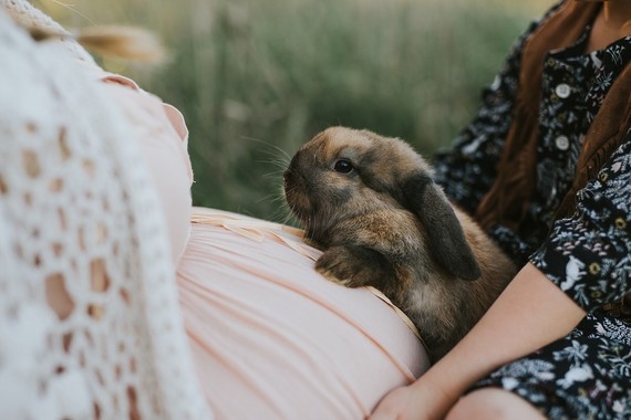 Rustic family maternity photos