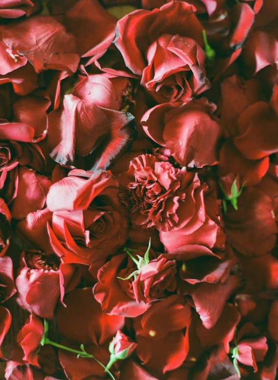 Wedding roses