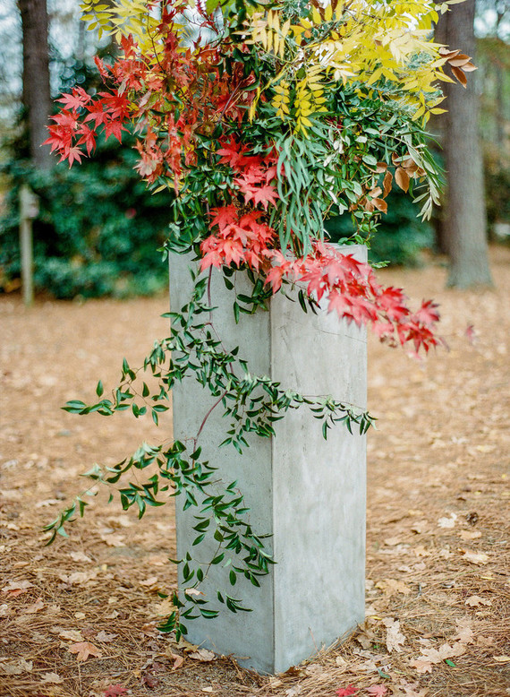 Fall wedding foliage