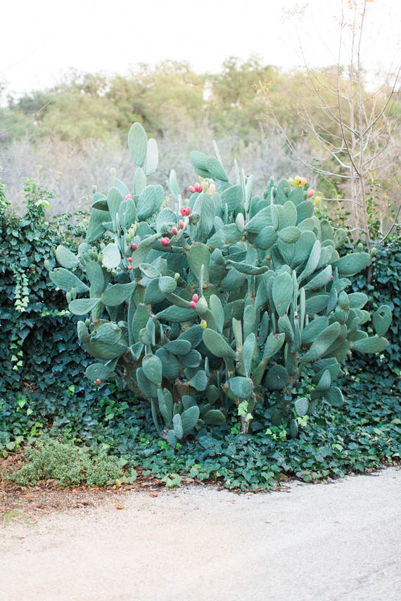 Bohemian anniversary party