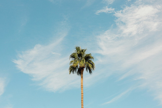 Palm Springs wedding at the Ace Hotel