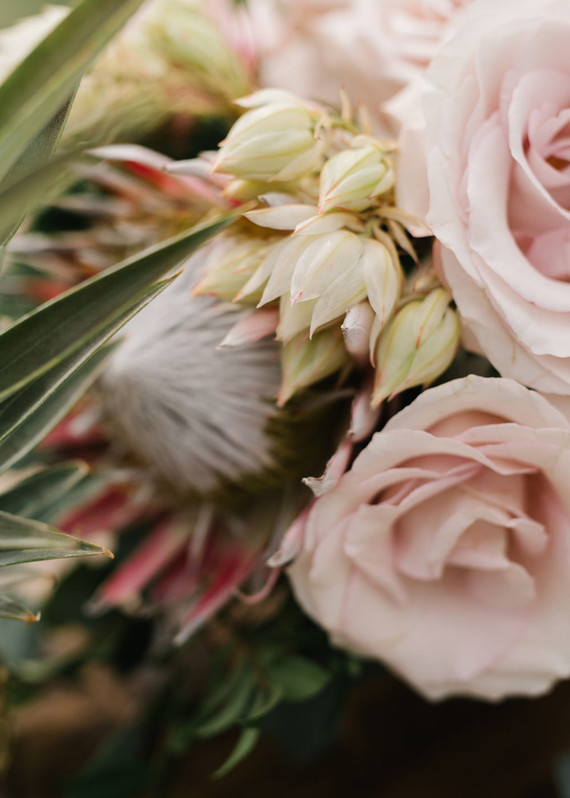 Pink flowers