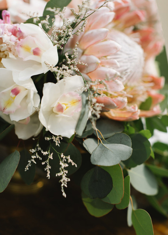 Tropical flowers