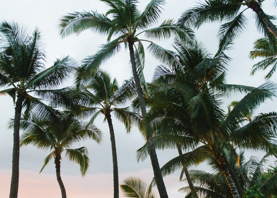 Honolulu Hawaii Wedding Inspiration