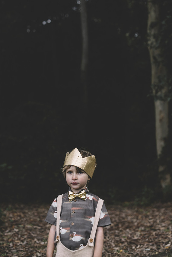 Moody swan lake birthday party