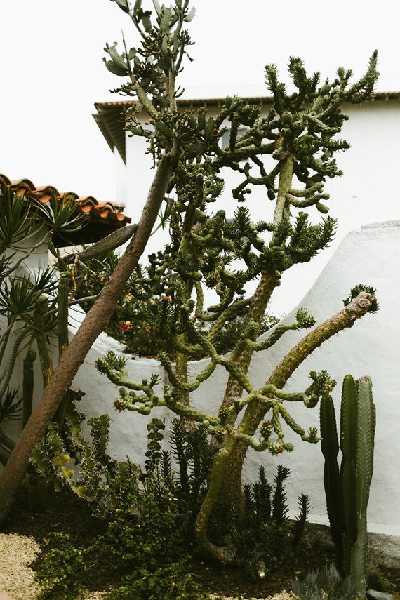 Desert wedding Inspiration