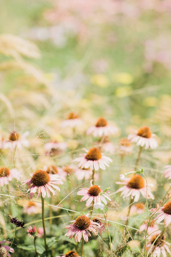 Desert oasis bridal shower inspiration