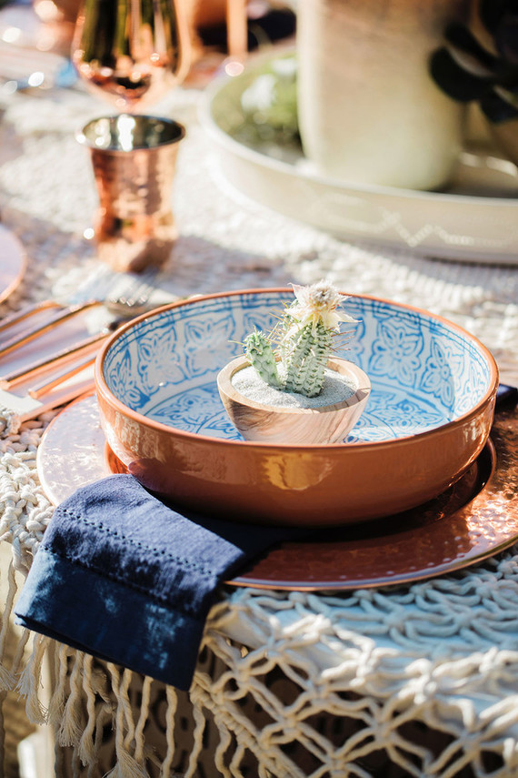 Cactus favors Inspiration