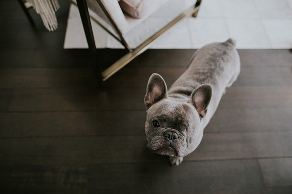 Bright Williamsburg family photos