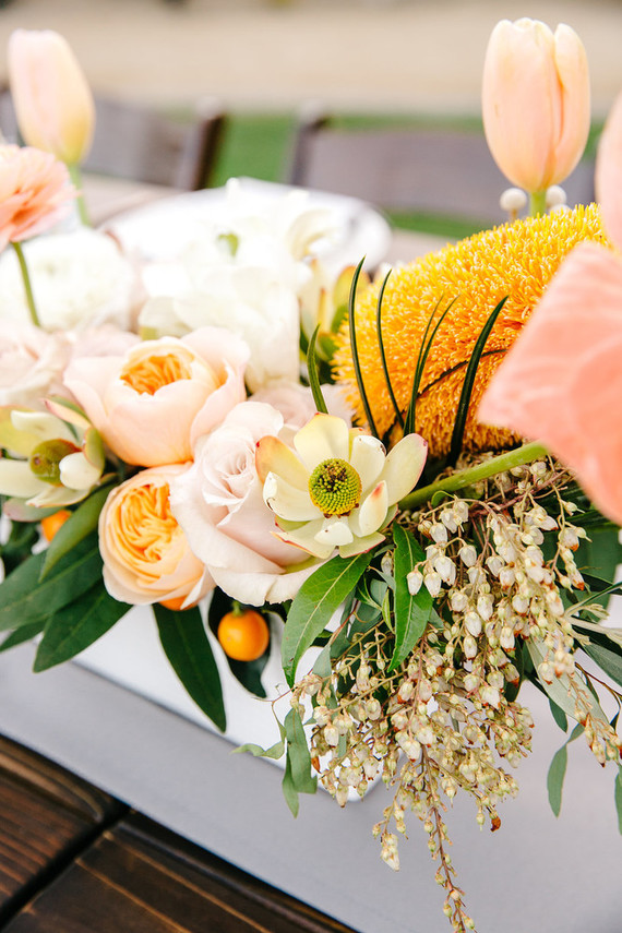 Peach flowers