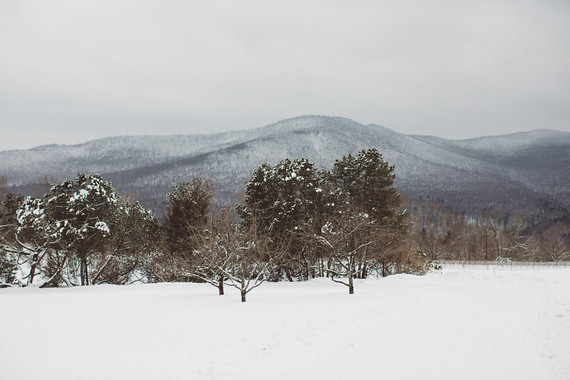 Winter wedding
