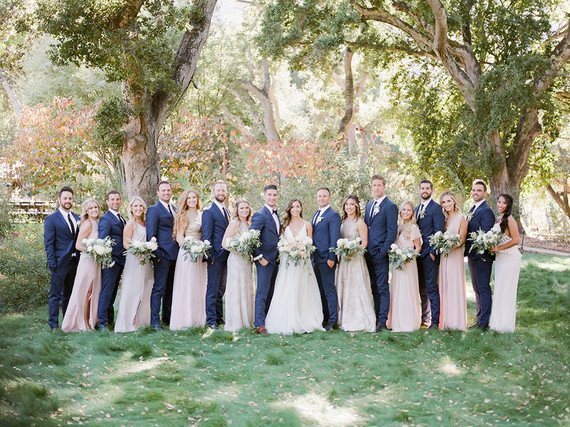 Pink and blue wedding party